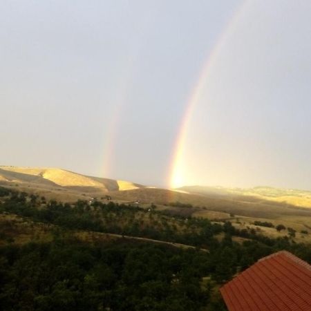 Vila Bliznakinja B Zlatibor Dış mekan fotoğraf
