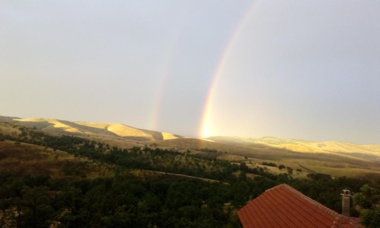 Vila Bliznakinja B Zlatibor Dış mekan fotoğraf